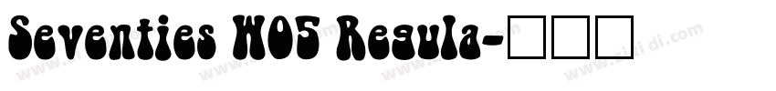 Seventies W05 Regula字体转换